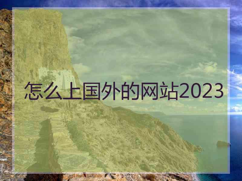 怎么上国外的网站2023