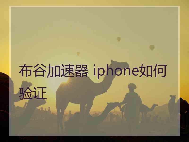 布谷加速器 iphone如何验证