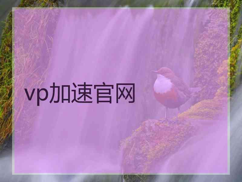 vp加速官网