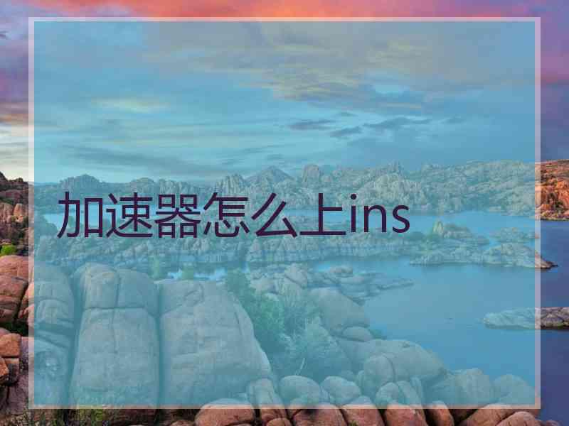 加速器怎么上ins