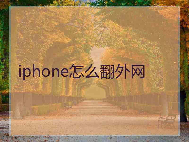 iphone怎么翻外网