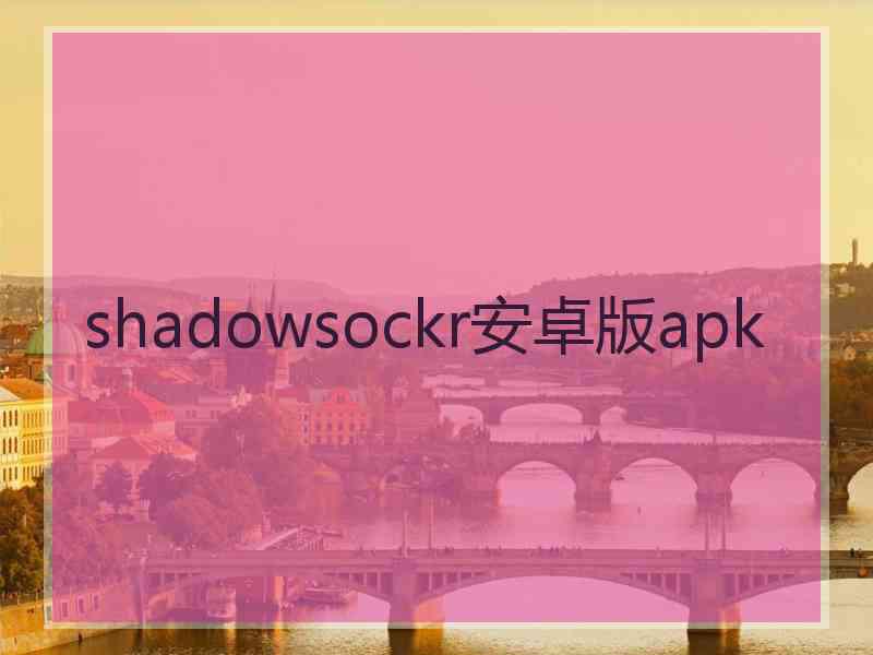 shadowsockr安卓版apk