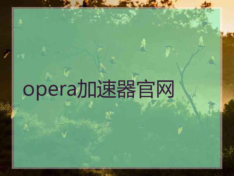 opera加速器官网