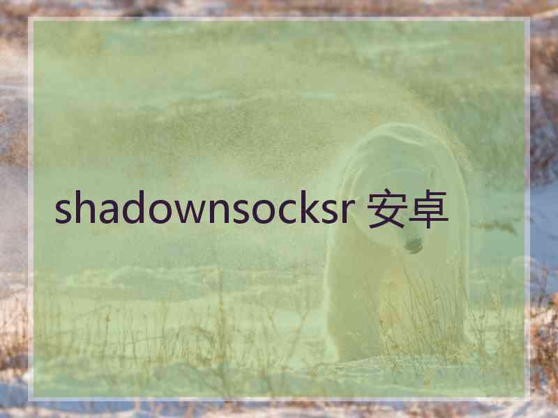 shadownsocksr 安卓