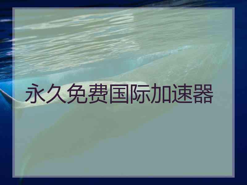 永久免费国际加速器