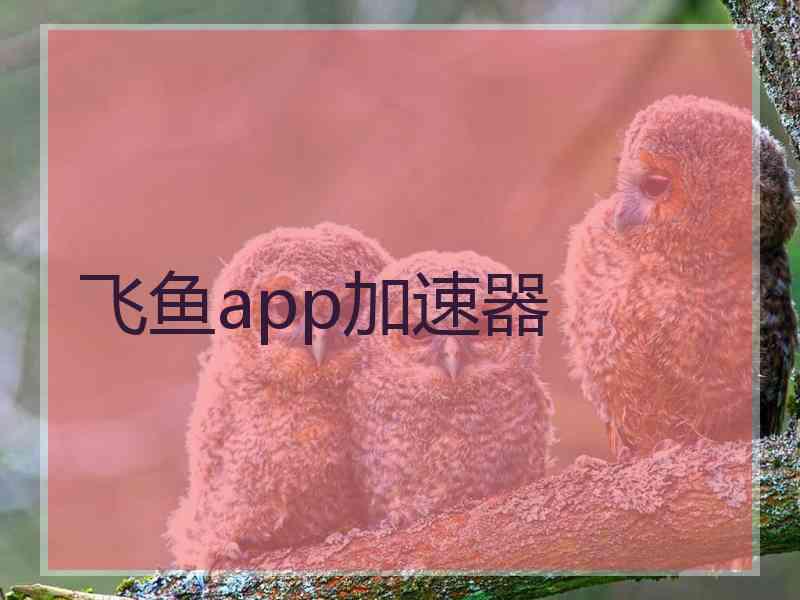 飞鱼app加速器