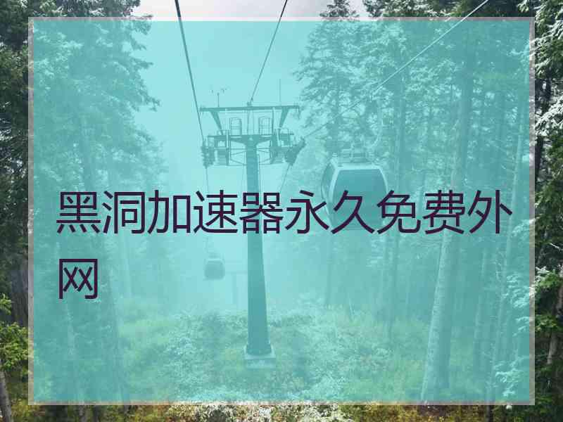 黑洞加速器永久免费外网