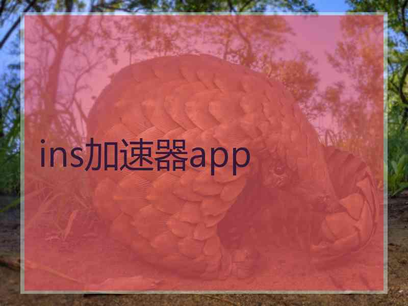 ins加速器app