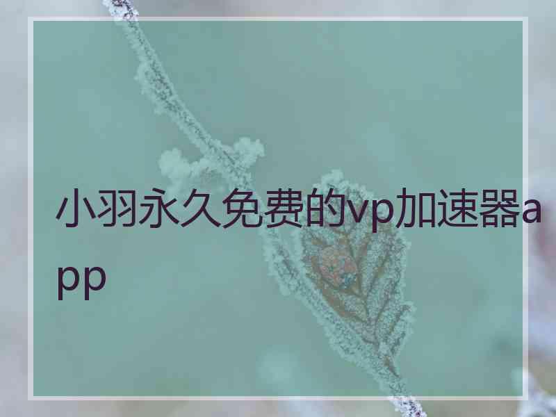 小羽永久免费的vp加速器app