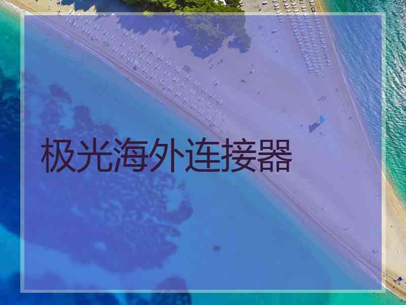 极光海外连接器