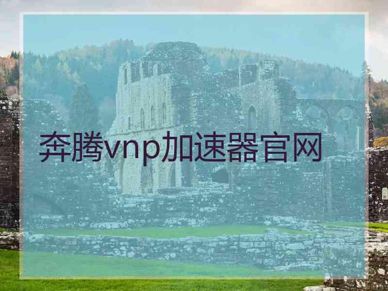 奔腾vnp加速器官网