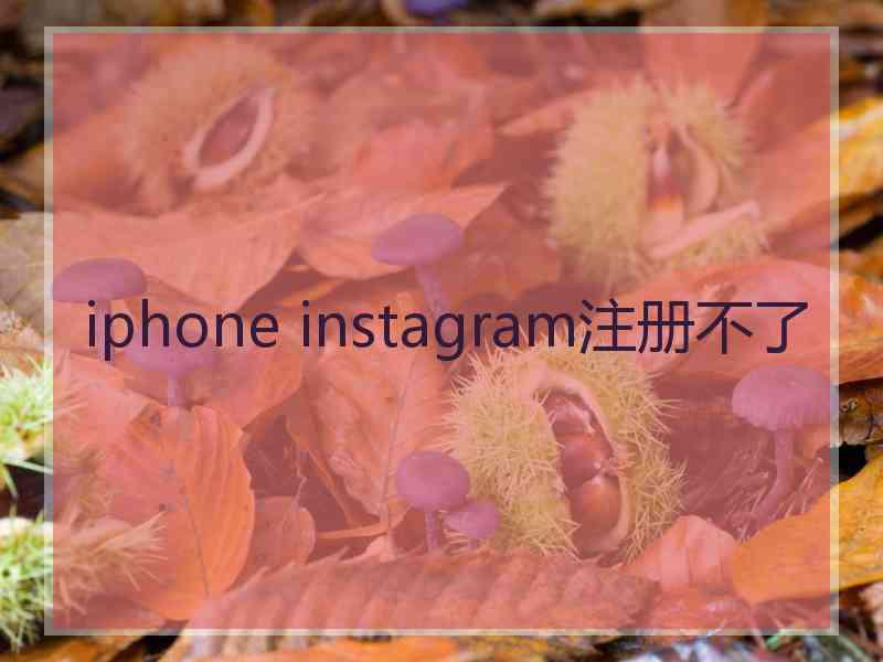 iphone instagram注册不了