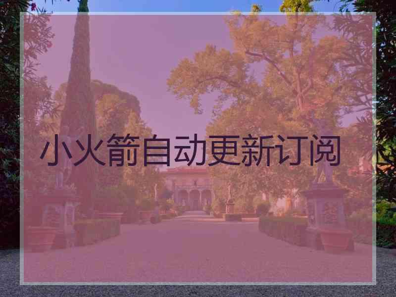 小火箭自动更新订阅