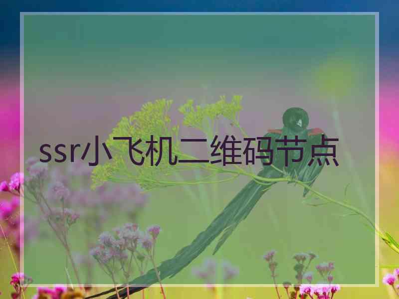 ssr小飞机二维码节点