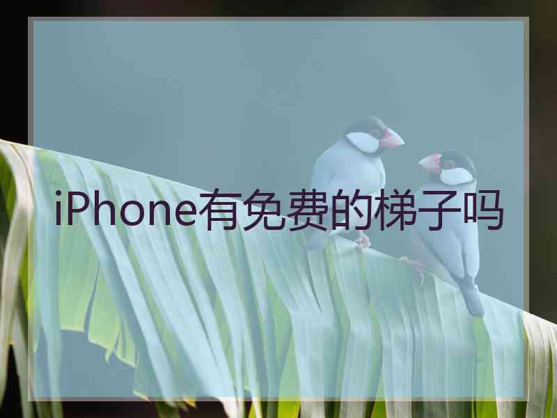 iPhone有免费的梯子吗