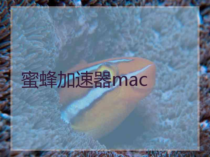 蜜蜂加速器mac