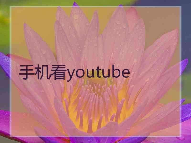 手机看youtube