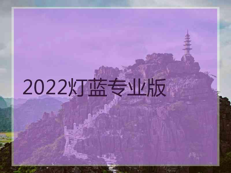 2022灯蓝专业版