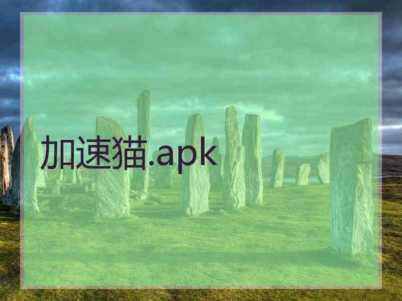 加速猫.apk