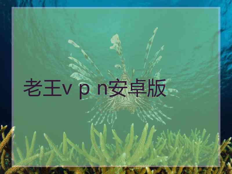 老王v p n安卓版