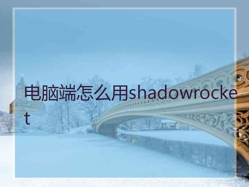 电脑端怎么用shadowrocket