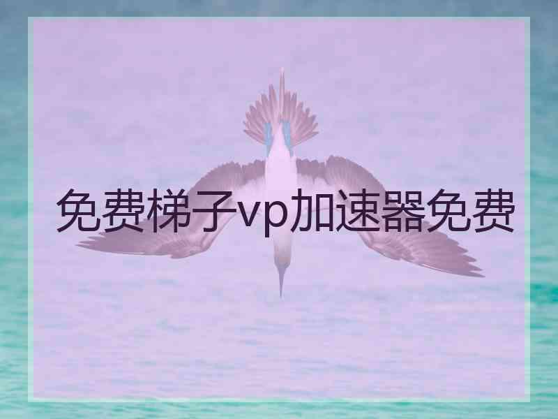 免费梯子vp加速器免费