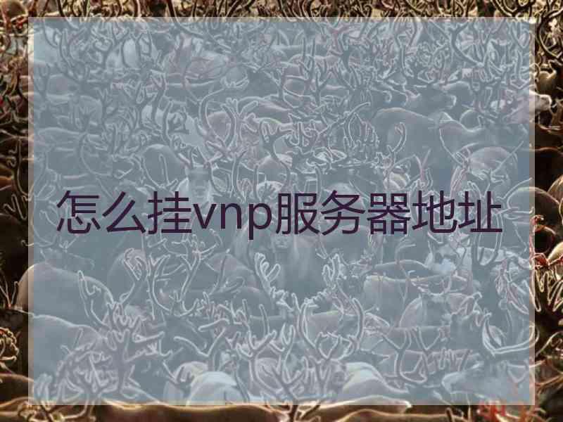 怎么挂vnp服务器地址