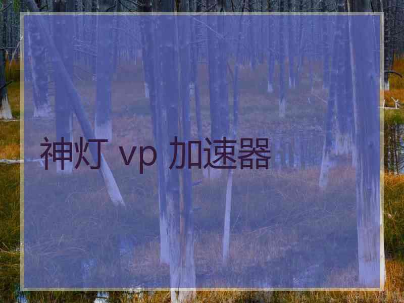 神灯 vp 加速器