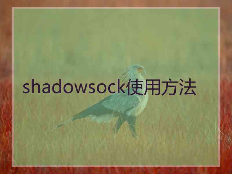 shadowsock使用方法