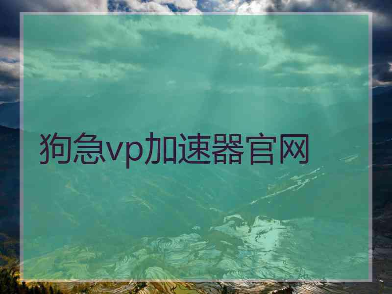 狗急vp加速器官网