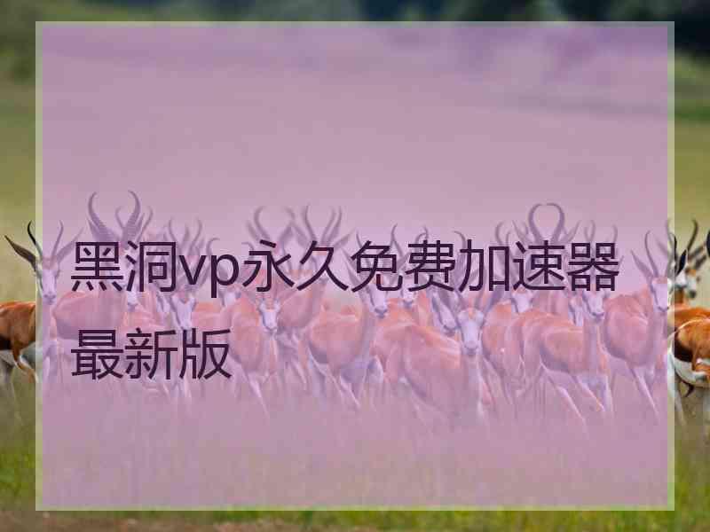 黑洞vp永久免费加速器最新版