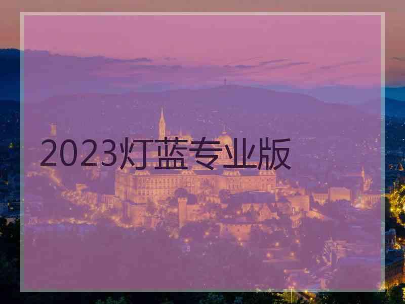 2023灯蓝专业版