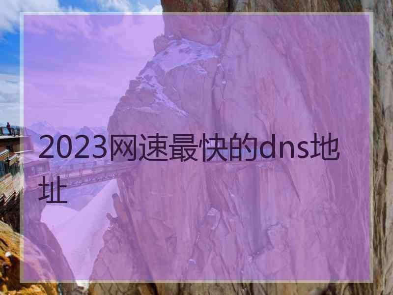 2023网速最快的dns地址