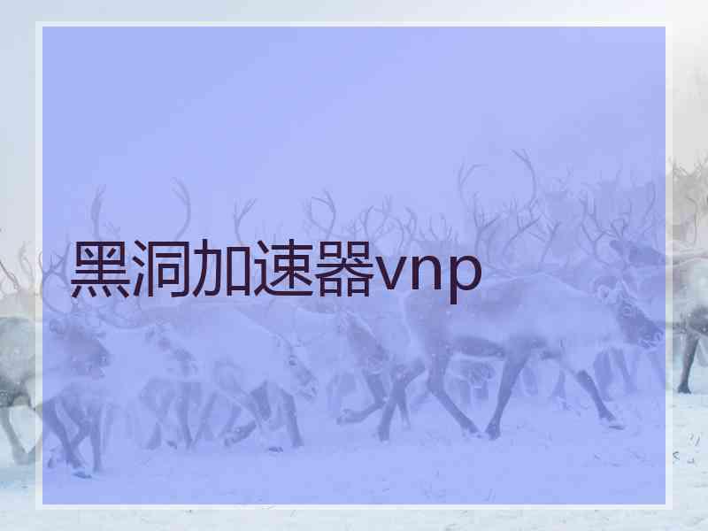 黑洞加速器vnp