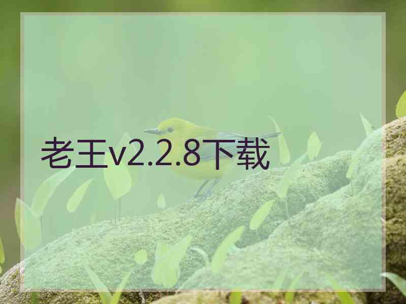 老王v2.2.8下载