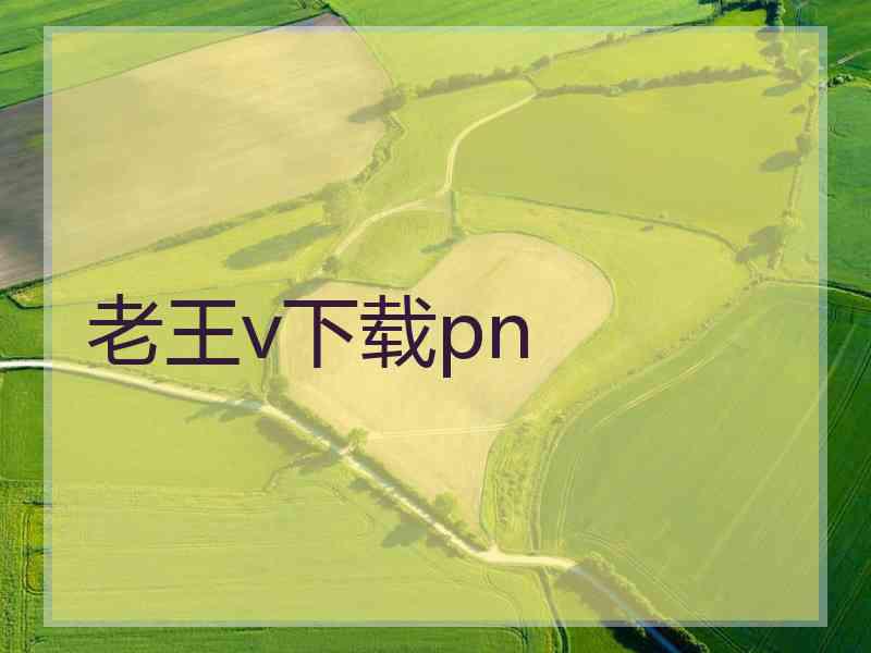 老王v下载pn