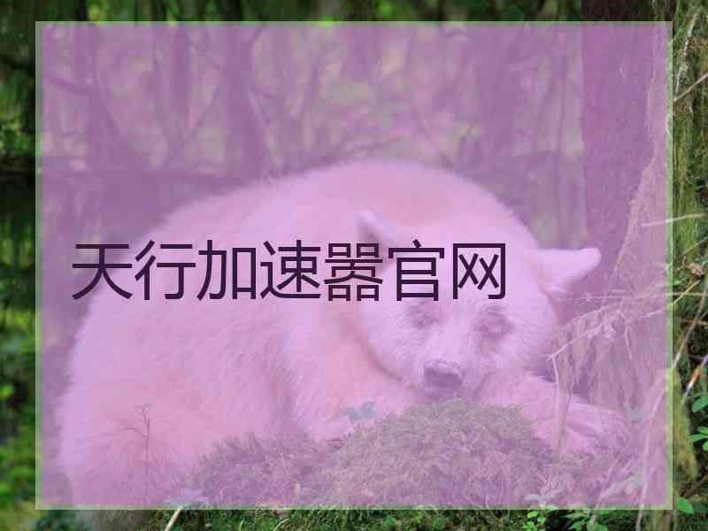 天行加速嚣官网