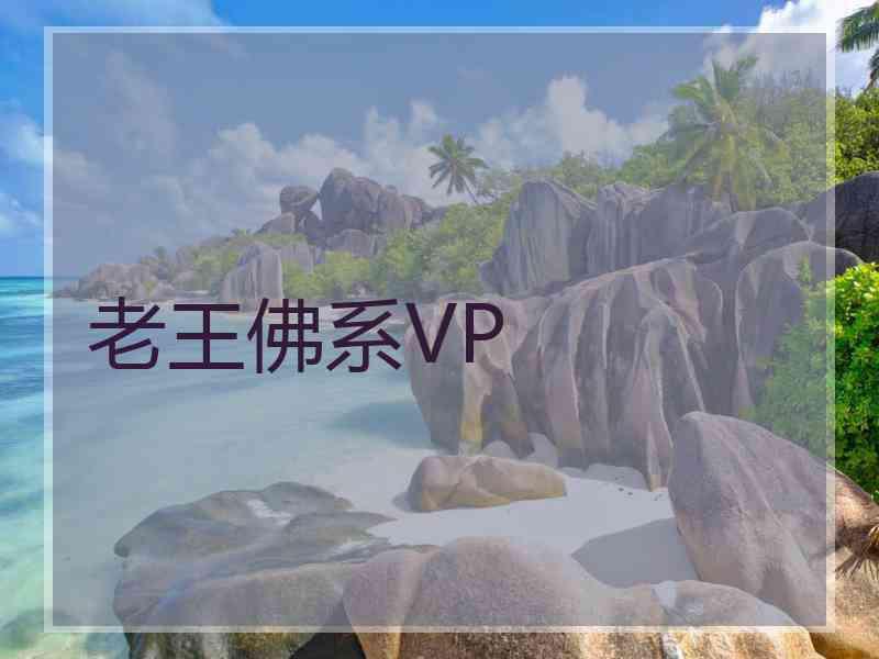 老王佛系VP