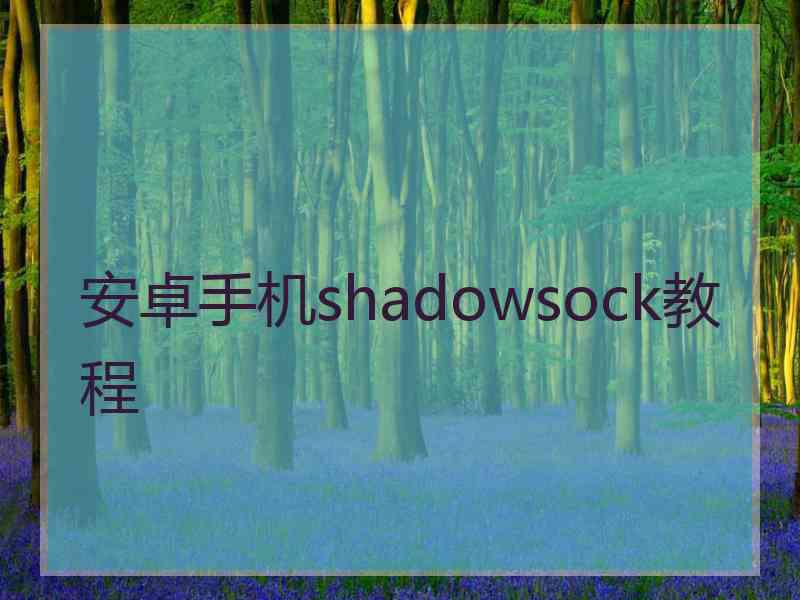 安卓手机shadowsock教程