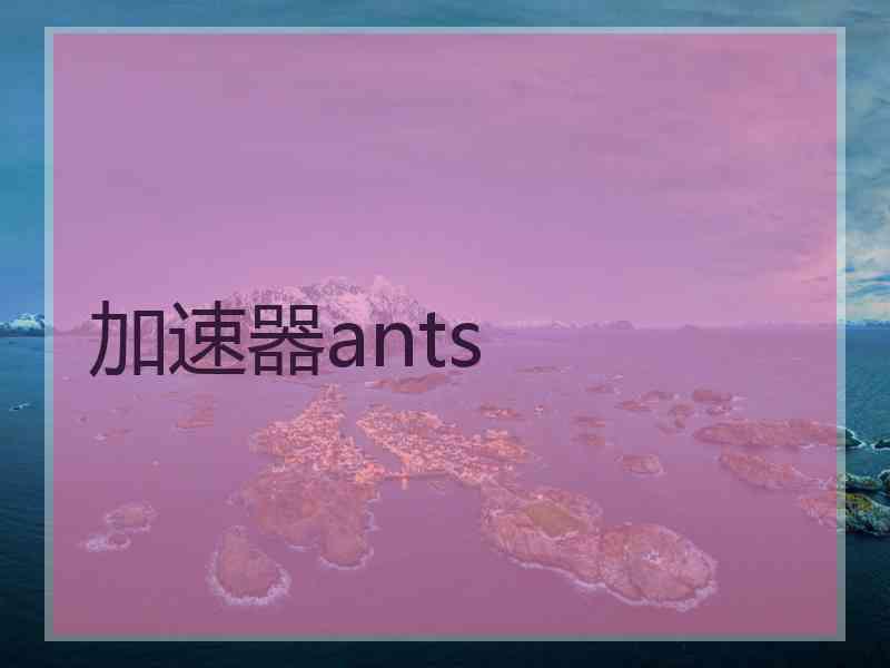 加速器ants