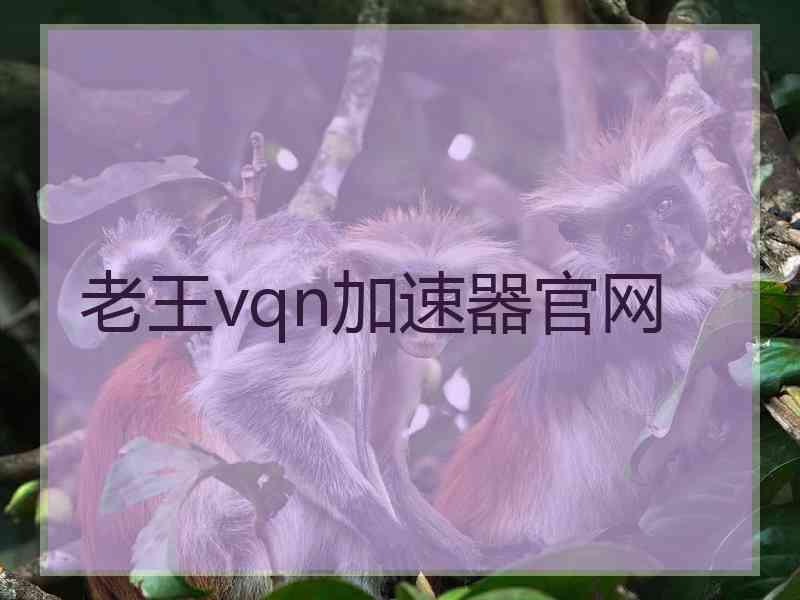 老王vqn加速器官网