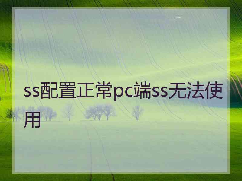 ss配置正常pc端ss无法使用