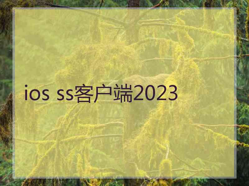 ios ss客户端2023