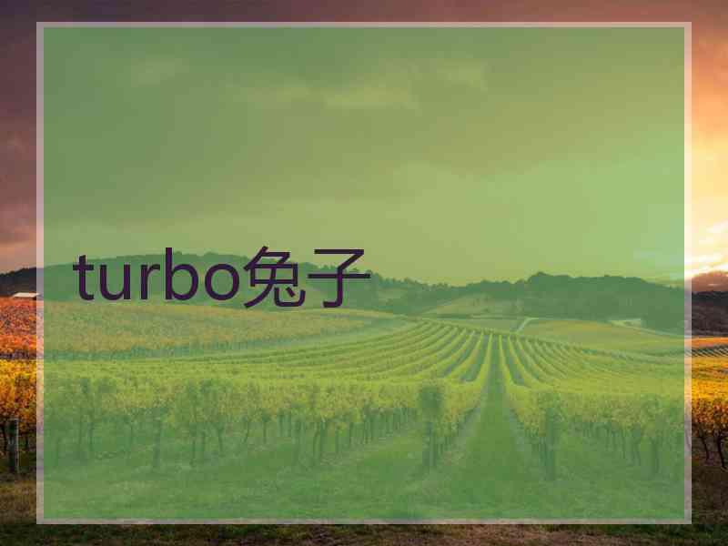 turbo兔子