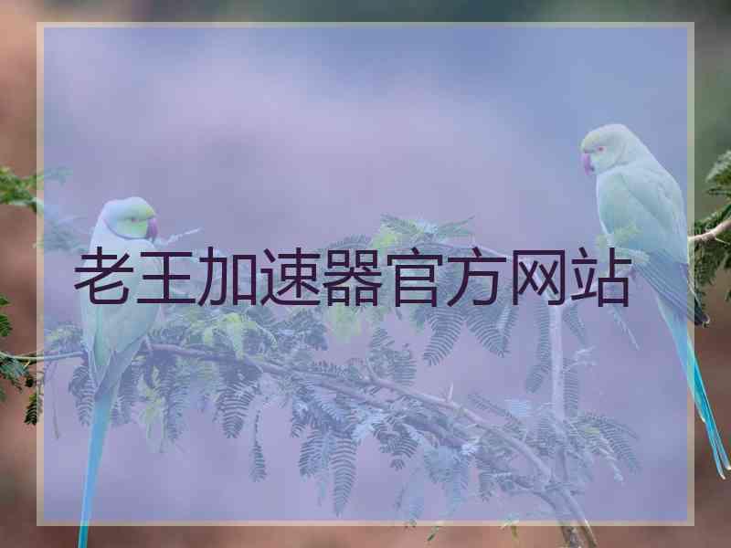 老王加速器官方网站