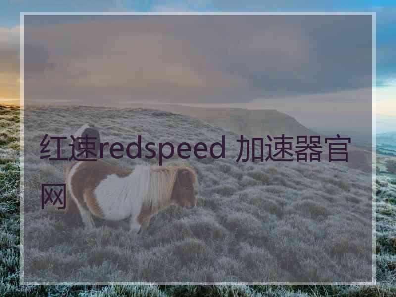 红速redspeed 加速器官网