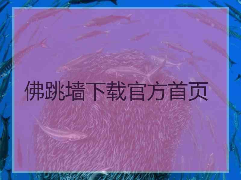 佛跳墙下载官方首页