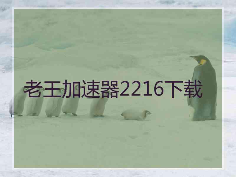 老王加速器2216下载