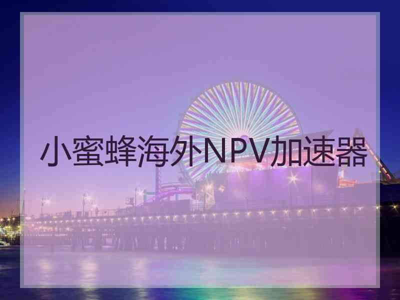 小蜜蜂海外NPV加速器