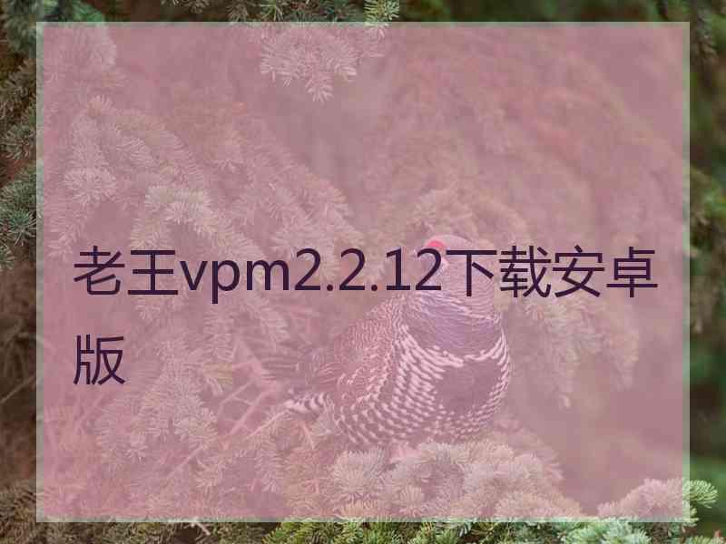 老王vpm2.2.12下载安卓版